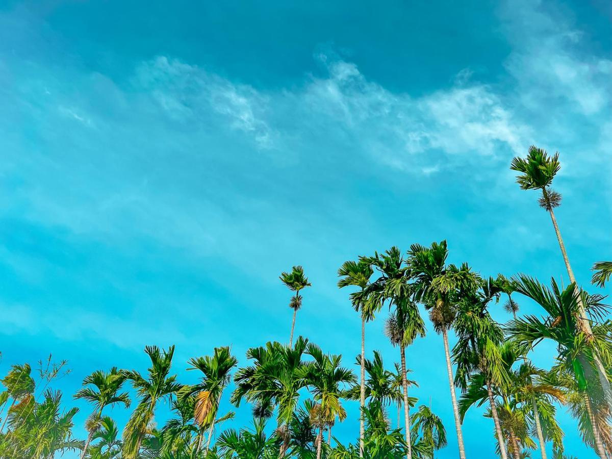 Areca Muine Homestay Phan Thiet Eksteriør bilde